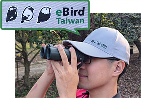 eBird台湾チームオリジナルキャップ