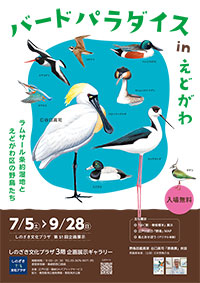 世界が認めた野鳥図鑑画家 谷口高司「原画展」(ポスター)