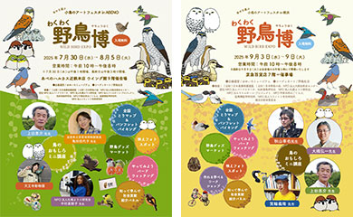 わくわく野鳥博2025のチラシ