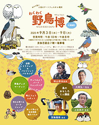 横浜会場のチラシ