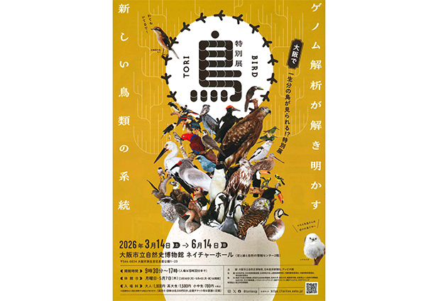 「鳥」大阪展チラシ