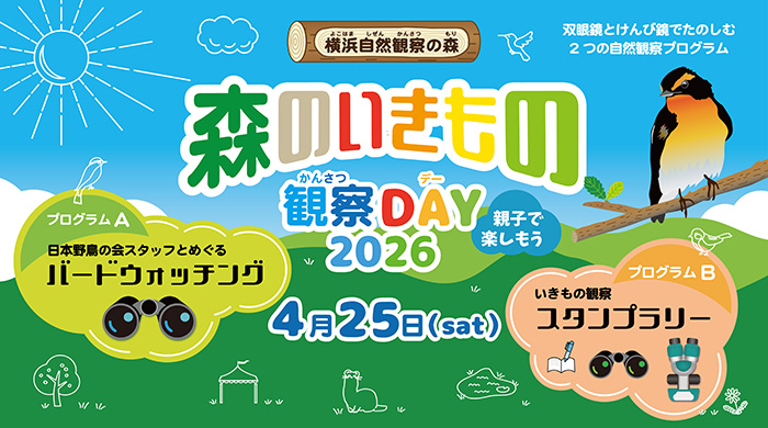 2025年4月26日(土)開催 森のいきもの観察DAY~親子で楽しもう!