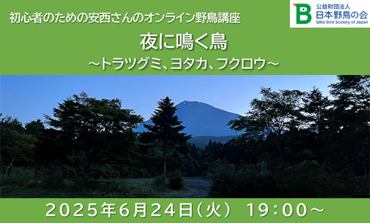 「初心者のための安西さんのオンライン野鳥講座」開催のご案内