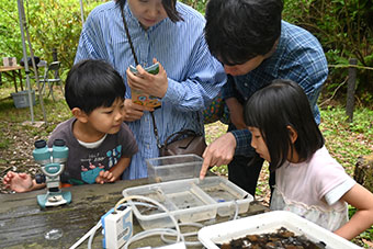 ヘビトンボやヤゴなどの水生昆虫たちを観察