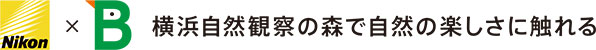 Nikon×公益財団法人日本野鳥の会 横浜自然観察の森で自然の楽しさに触れる