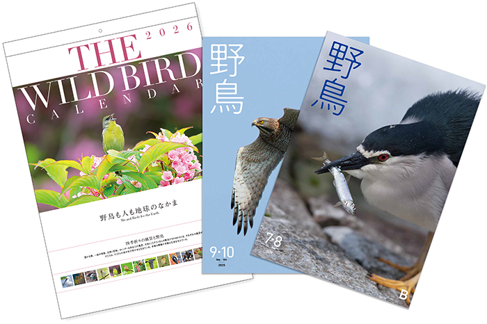 第67回全国カタログ展・第77回全国カレンダー展入賞作品