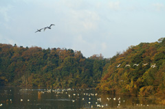 田尻浩伸