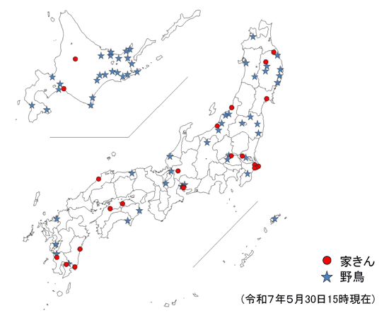 令和6年度 国内における高病原性及び低病原性鳥インフルエンザ発生状況（令和7年5月30日15時時点）