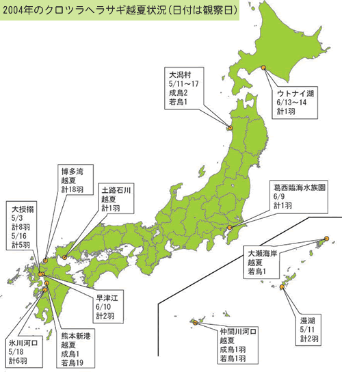 2004年のクロツラヘラサギ越夏状況（日付は観察日）