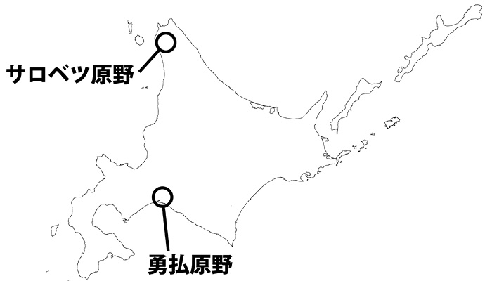 イメージ入る