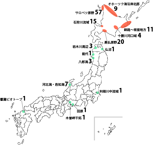 イメージ入る