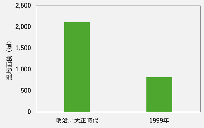 イメージ入る