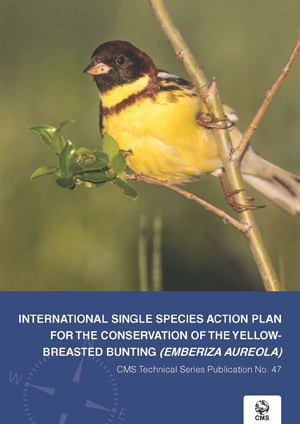 国際行動計画書