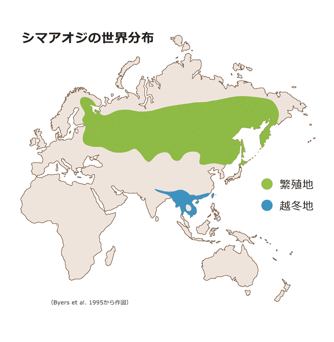 シマアオジの世界分布図