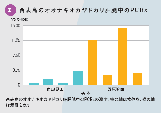 図1 西表島のオオナキオカヤドカリ肝臓中のPCBs:西表島のオオナキオカヤドカリ肝膵臓中のPCBsの濃度。横の軸は検体を、縦の軸は濃度を表す