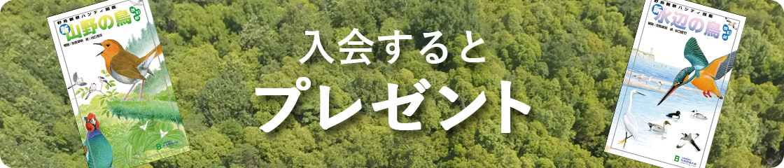入会プレゼント「図鑑」