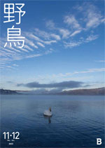 2023年11・12月号野鳥誌