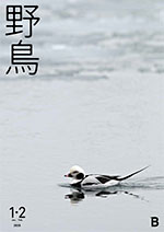 2025年1・2月号野鳥誌