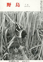 『野鳥』1967年7月号（No.250）表紙