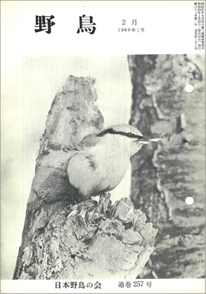 『野鳥』1968年2月号（No.257）