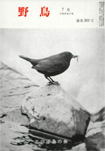 『野鳥』1968年7月号（No.262）