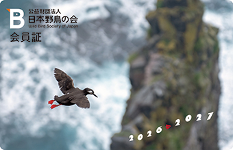 2026年の会員証写真