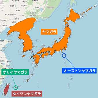 観察対象種分布図