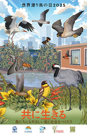 世界渡り鳥の日2025　共に生きる―鳥たちにもやさしい街と社会をつくろう　バナー