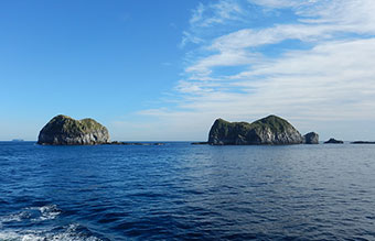 図2. 調査地遠景（向かって右側が調査を実施した「沖の祇苗」と呼ばれる無人島）