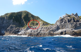 図3. 調査地遠景（赤い点線部分が調査地）