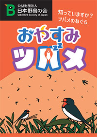 パンフレット『おやすみツバメ』(表紙)
