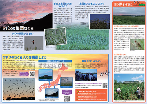 パンフレット『おやすみツバメ』(中面)