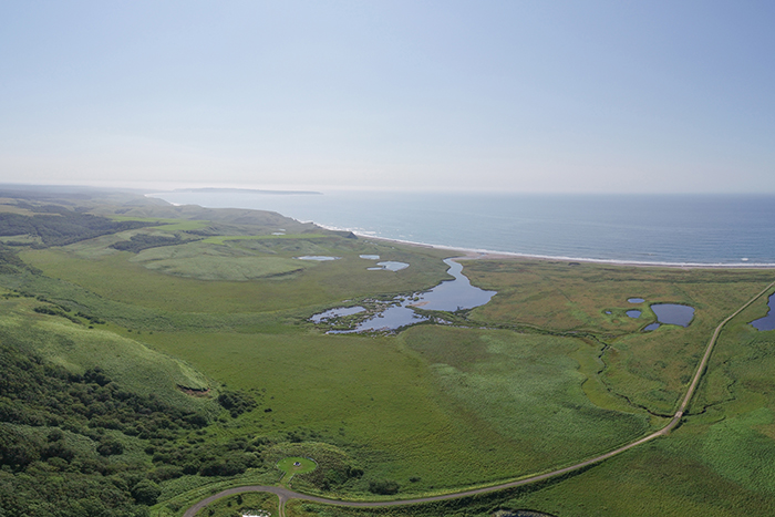 渡邊野鳥保護区フレシマ