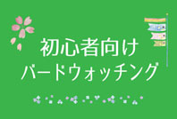 初心者向けバードウォッチングのご案内