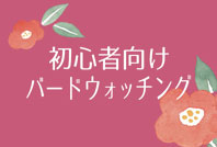 初心者向けバードウォッチングのご案内