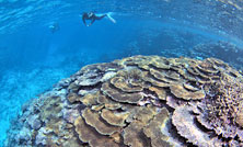 連続ウェビナー(2024)第3回 プラスチックによる海洋汚染の現状と気候変動の問題