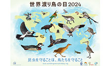 10月12日は「世界渡り鳥の日」World Migratory Bird Day