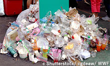 連続ウェビナー(2024)第4回 国際プラスチック条約・INC5の報告と今後の展望