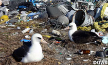 連続ウェビナー(2025)第1回 国際プラスチック条約に科学者連合が求めるもの