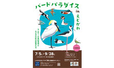 世界が認めた野鳥図鑑画家 谷口高司「原画展」