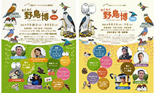 「わくわく野鳥博2025」開催のご案内