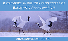 オンライン探鳥会「北海道でタンチョウウォッチング」開催のご案内