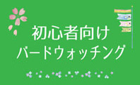 初心者向けバードウォッチングのご案内