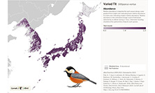 ウェビナー「eBirdのデータ解析と、ゴールド・チェックリスト」開催のお知らせ