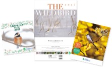日本野鳥の会オリジナルカレンダー(2025年)のご案内