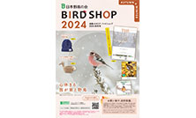 『BIRD SHOP 2024 秋冬号』デジタルカタログを公開しました