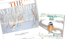 オリジナルカレンダー2025応募要項