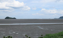 「産業用地民間開発募集エリアから曽根干潟後背地を除外することを求める要望書」を提出しました