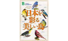 日本野鳥の会 色とりどりの野鳥たちを楽しめるポスター『日本を彩る美しい鳥』を無料プレゼント!