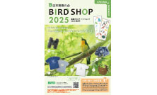 『BIRD SHOP 2025 春夏号』デジタルカタログを公開しました